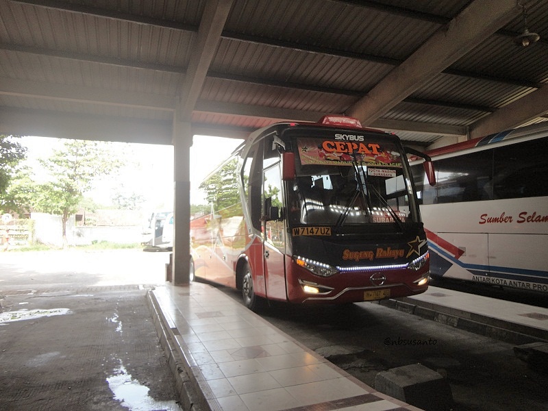 Sugeng Rahayu Golden Star Cepat Laksana All New Legacy Skybus W 7147 UZ