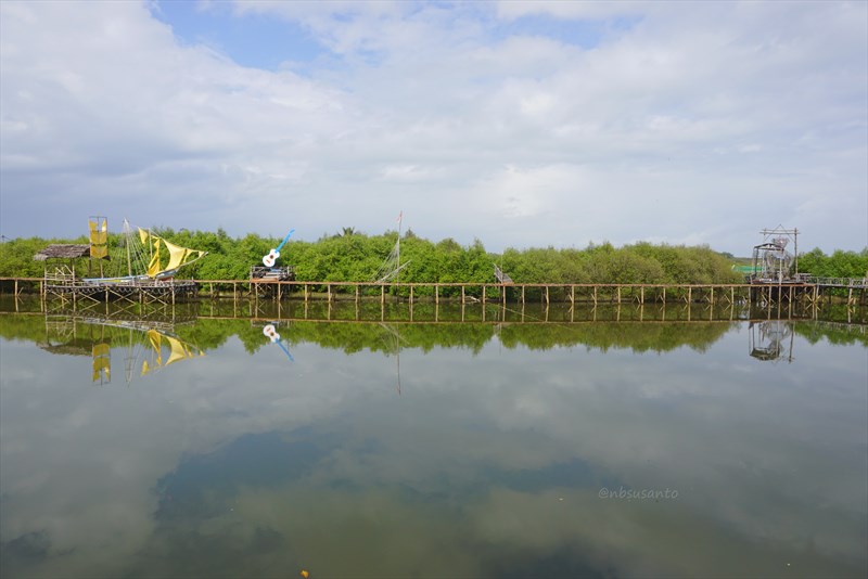 wisata hutan mangrove pantai jembatan api api kulonprogo yogyakarta (163)