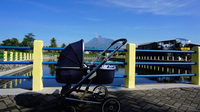 review stroller ChocoLatte Landscape